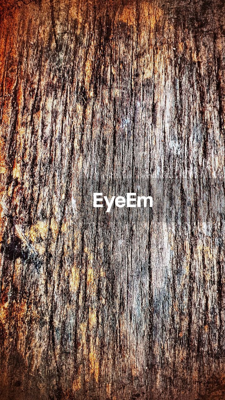 FULL FRAME SHOT OF WEATHERED TREE