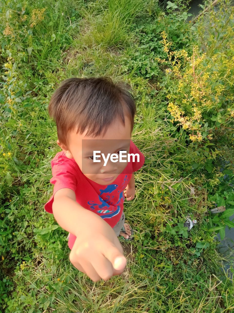 grass, one person, childhood, child, high angle view, plant, green, baby, nature, toddler, day, innocence, growth, portrait, land, field, meadow, casual clothing, men, full length, leisure activity, person, flower, cute, outdoors, lifestyles, babyhood, looking at camera, lawn, looking, front view, human face, leaf, directly above, standing, holding, skin