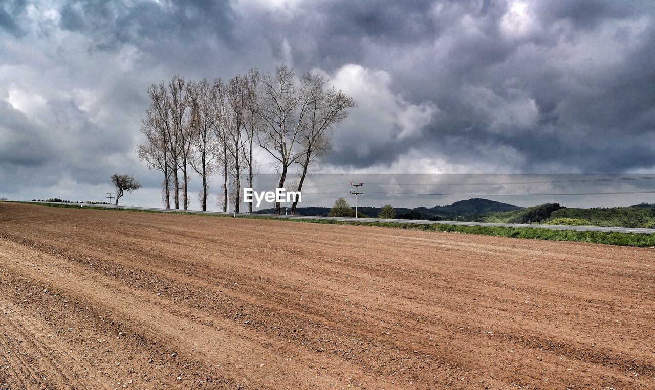 Trees at plowed field