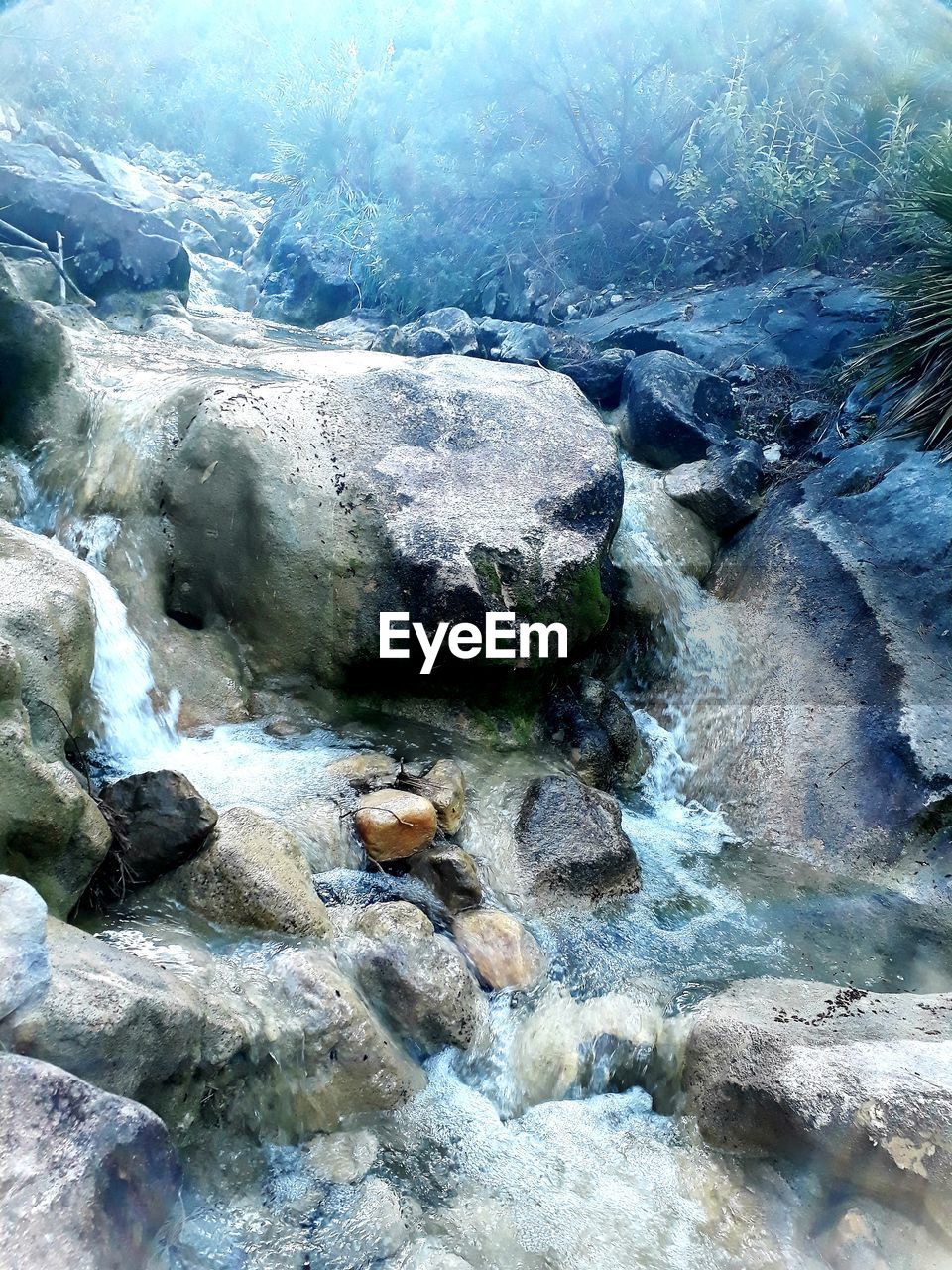 RIVER FLOWING THROUGH ROCKS IN FOREST