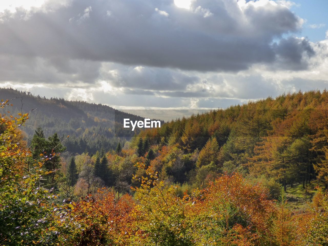 Scenic view of landscape against sky during autumn