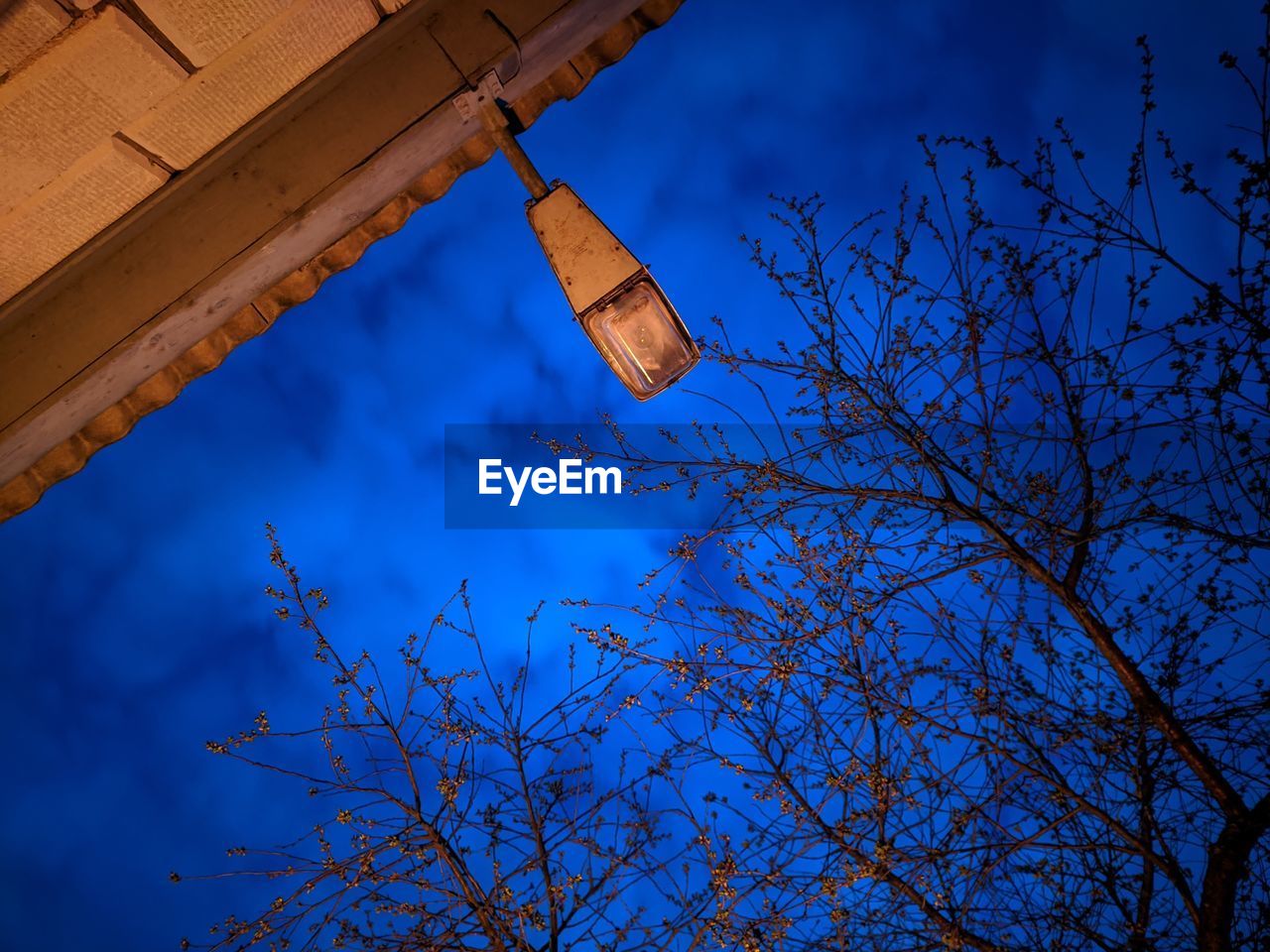 LOW ANGLE VIEW OF BARE TREE AGAINST BUILDINGS