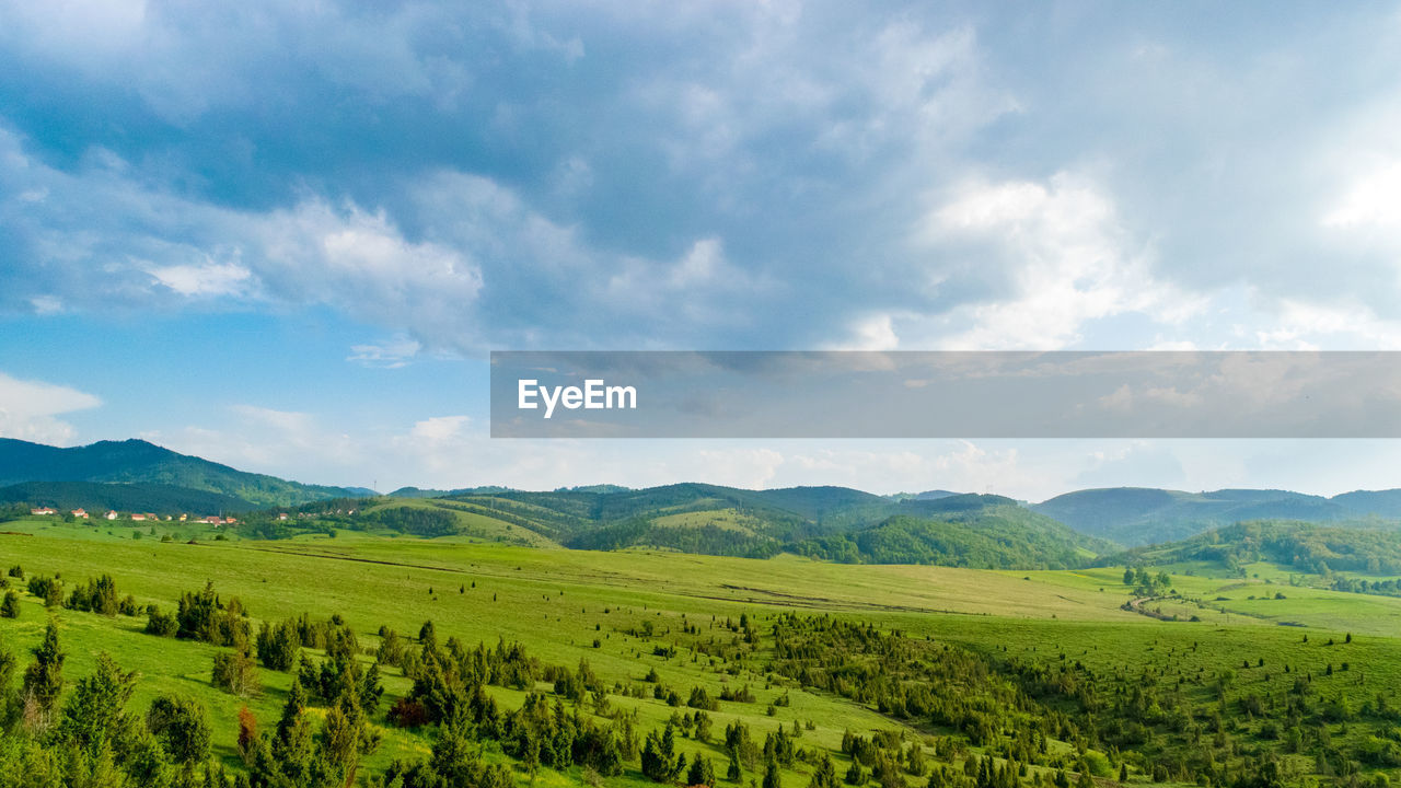 Scenic view of agricultural field against sky