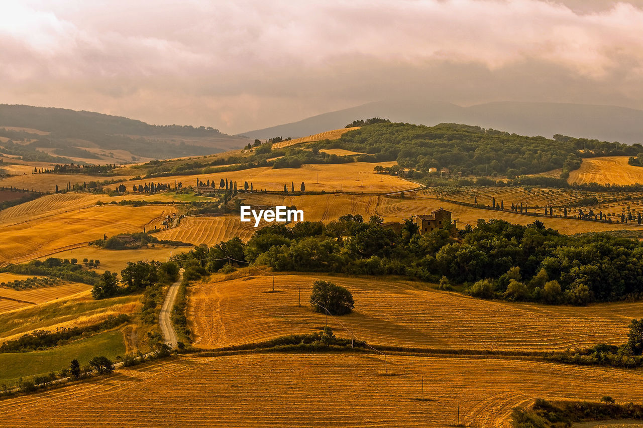 Scenic view of agricultural landscape against sky