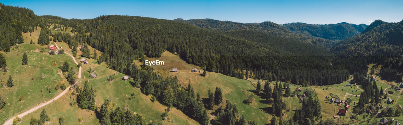 Panoramic shot of trees on landscape against sky