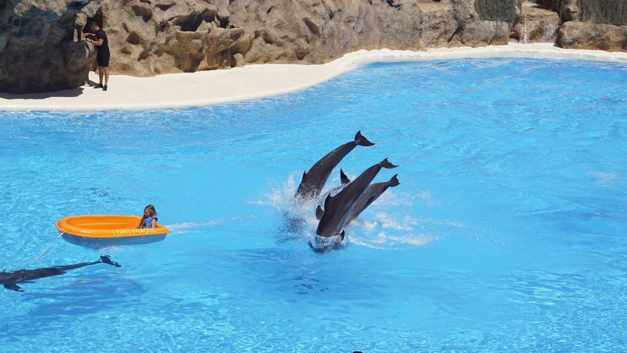 WOMAN JUMPING SWIMMING IN POOL