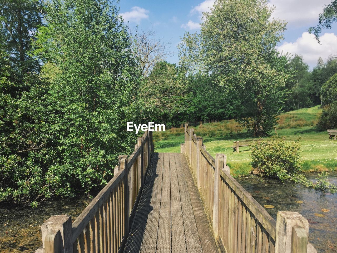 FOOTBRIDGE AGAINST TREES