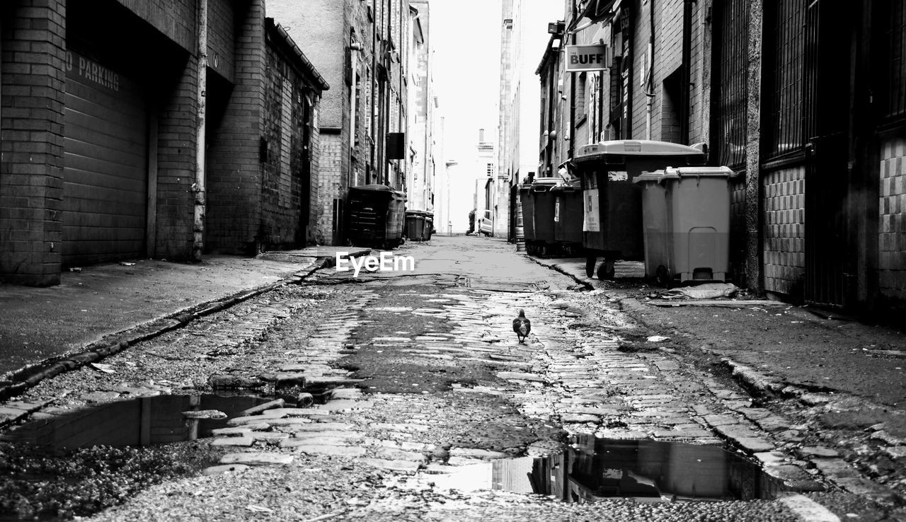 STREET AMIDST BUILDINGS