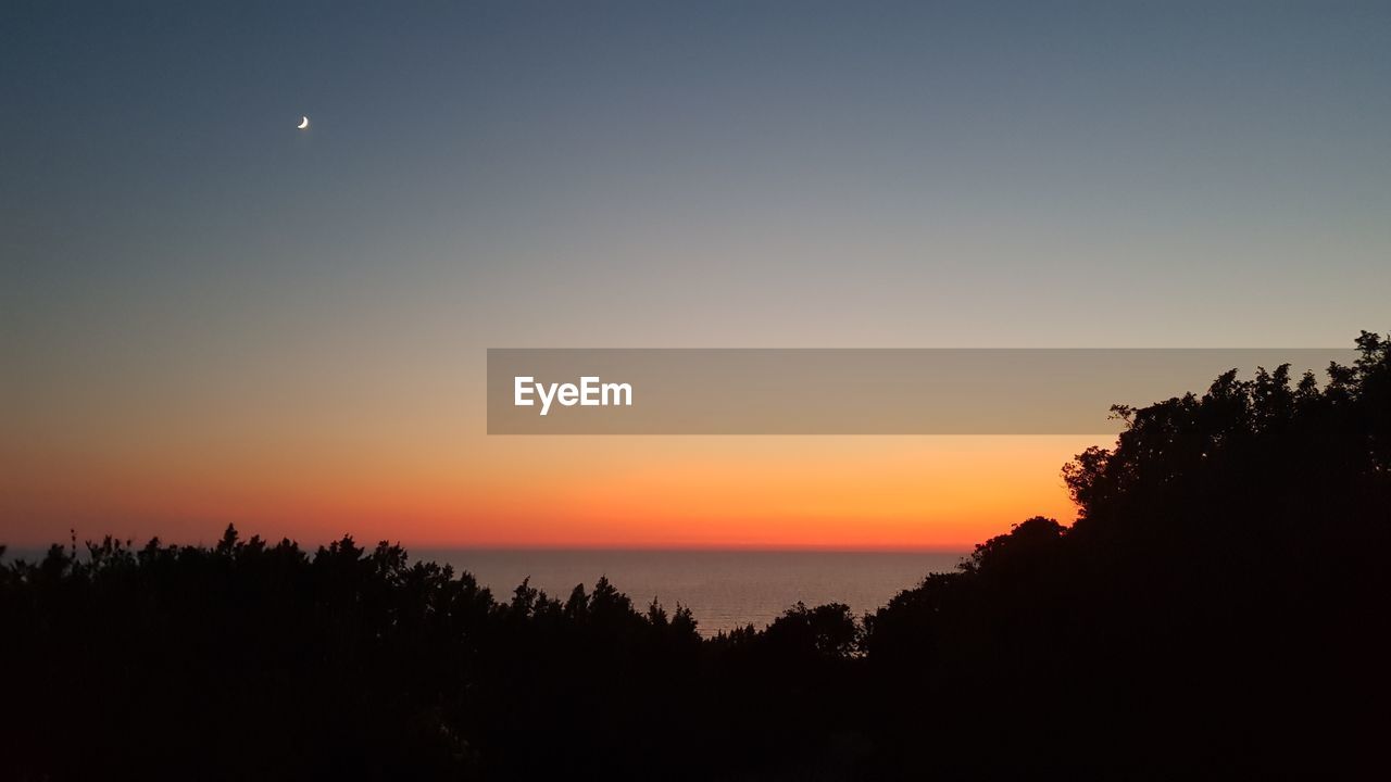 SCENIC VIEW OF SILHOUETTE TREES AGAINST ORANGE SKY