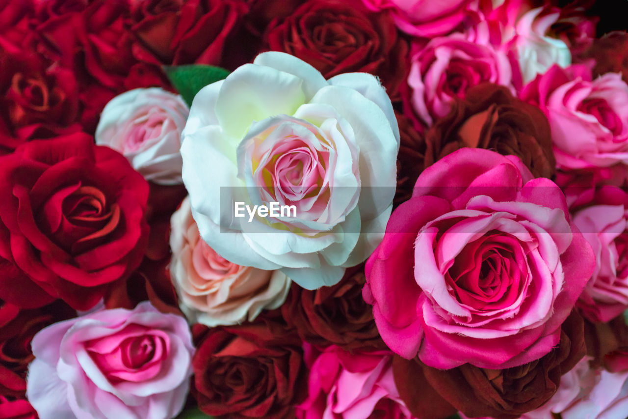 HIGH ANGLE VIEW OF ROSES BOUQUET