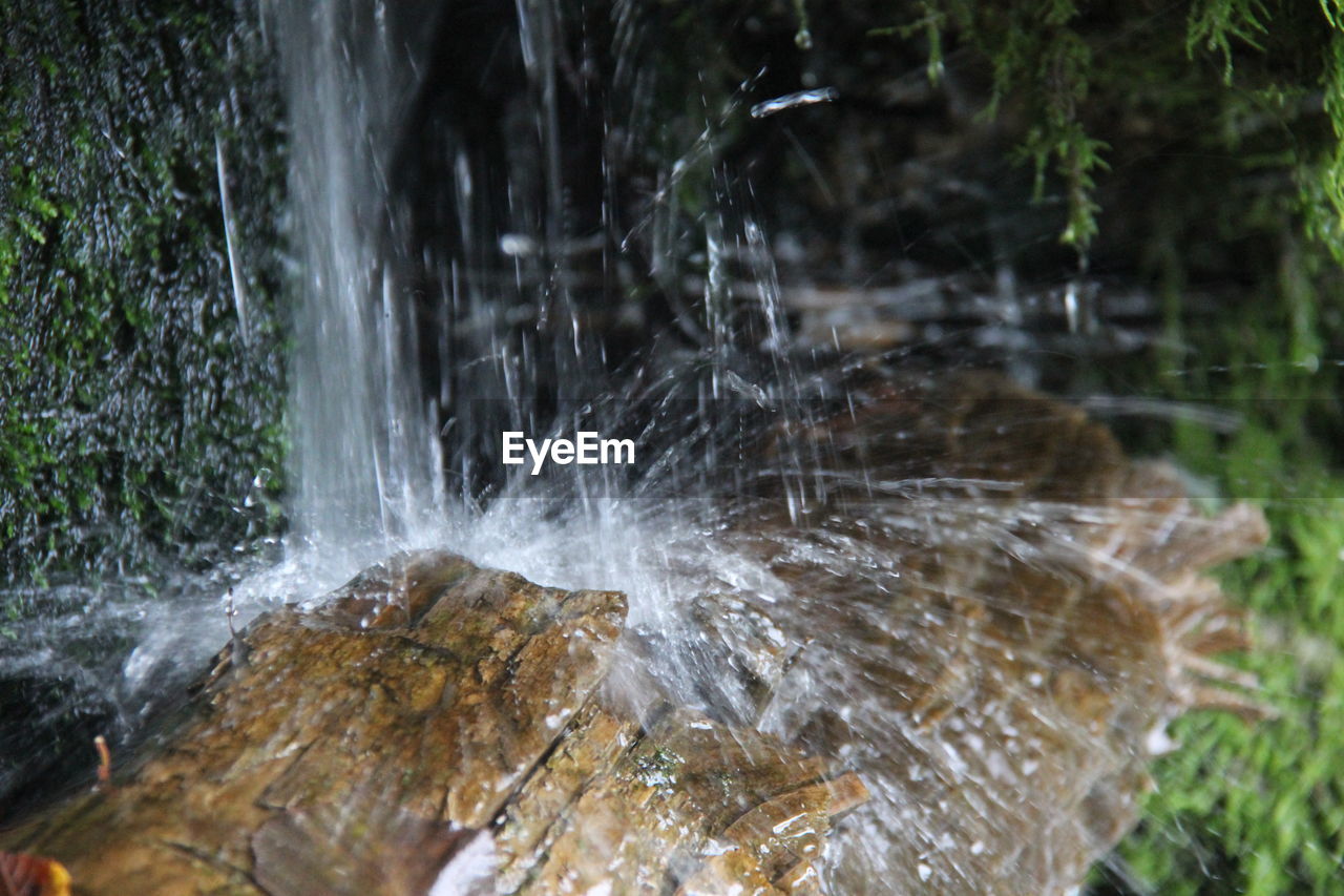 VIEW OF WATERFALL IN FOREST