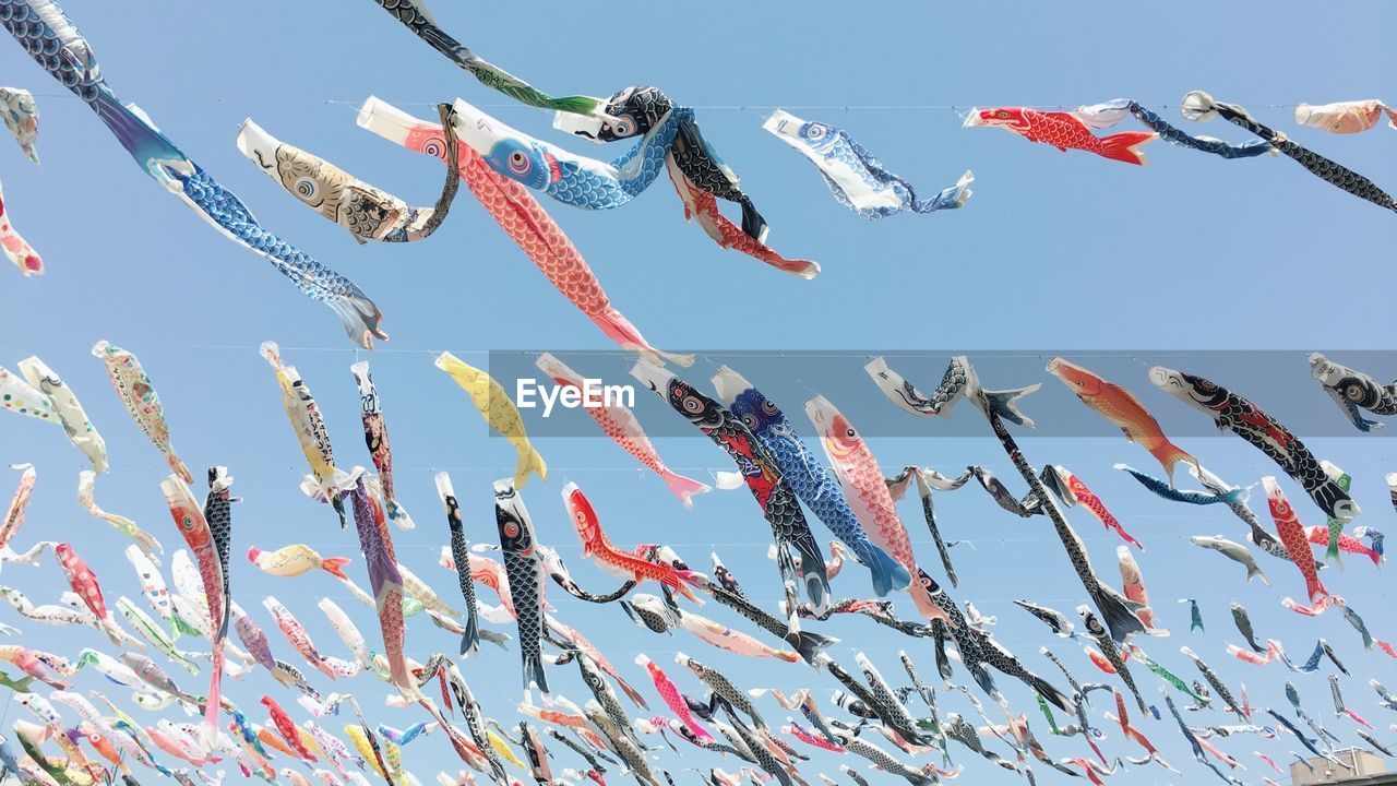 LOW ANGLE VIEW OF FISH HANGING IN ROW