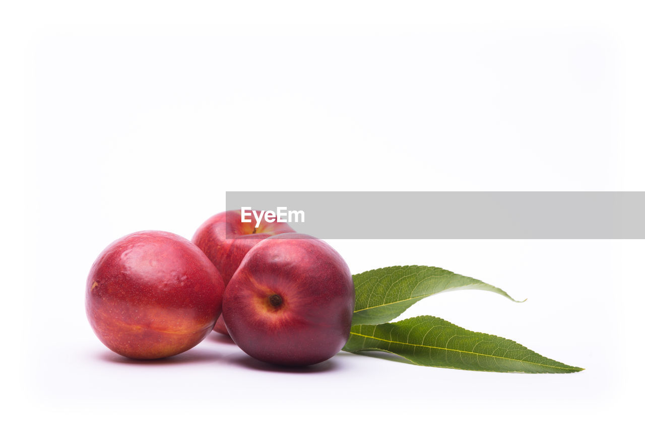 Close-up of red apple on white background