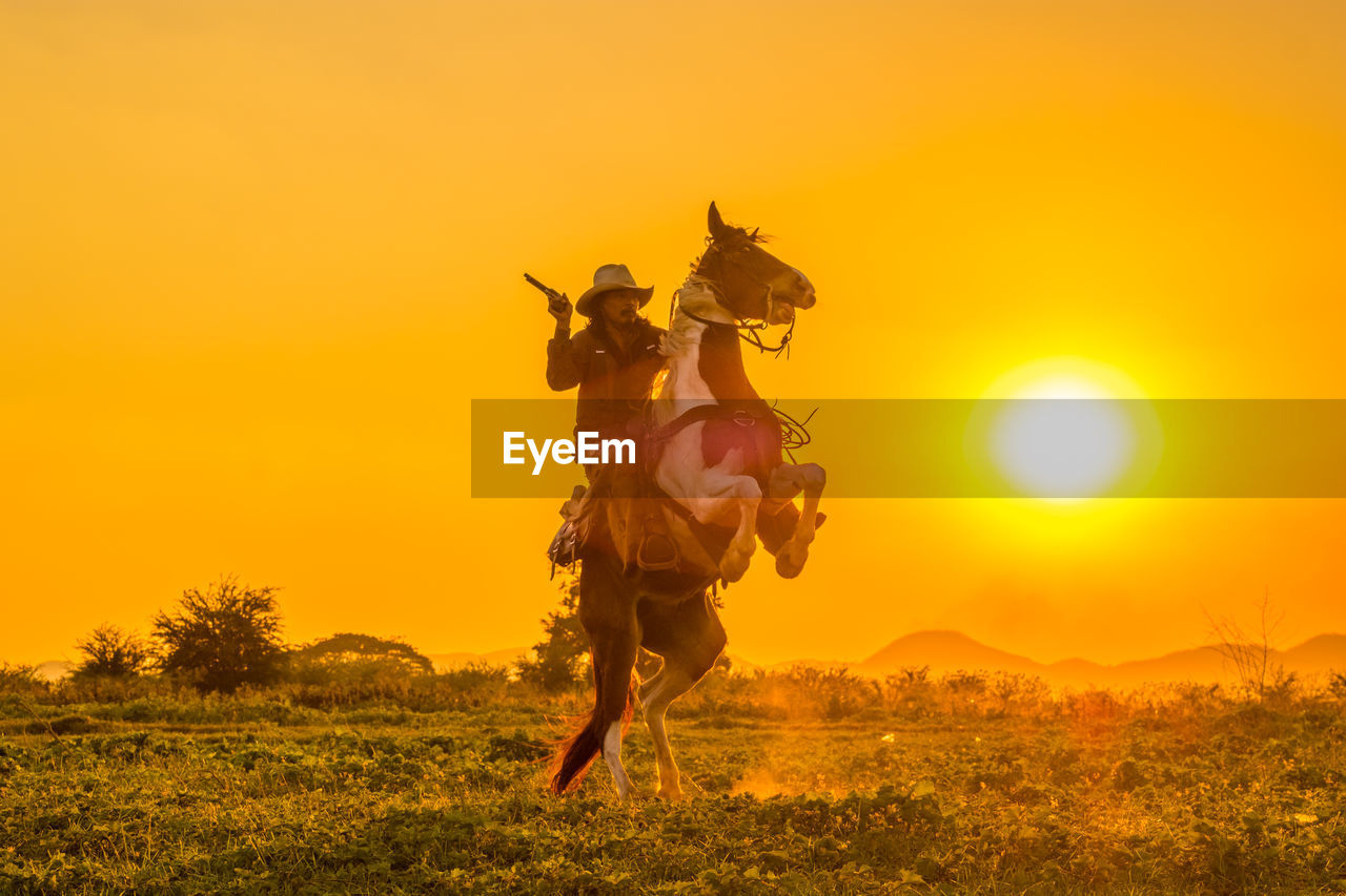 Full length of cow boy riding horse at meadow during sunset