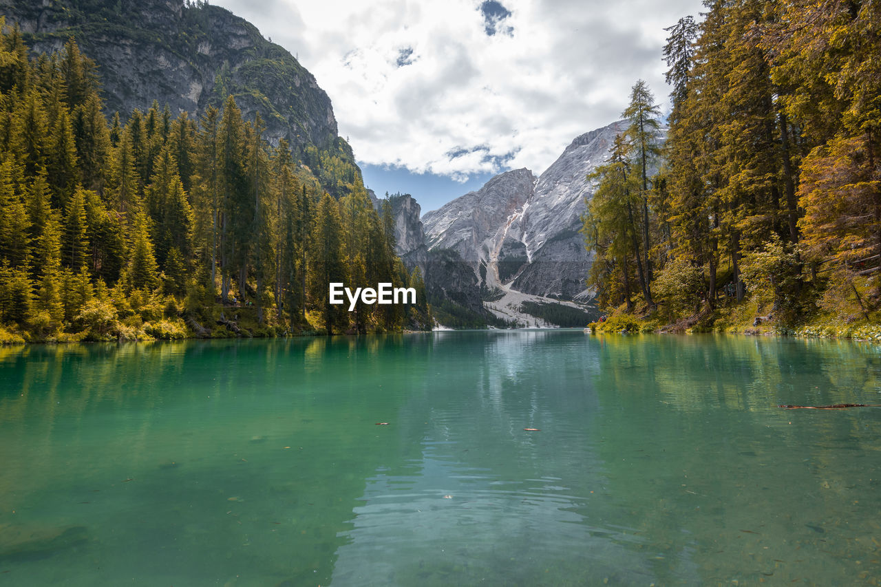 SCENIC VIEW OF LAKE BY TREES AND MOUNTAINS AGAINST SKY