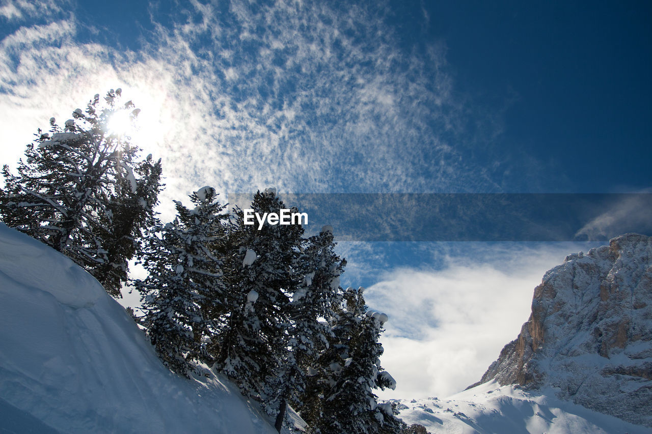 Low angle view of snow covered trees and mountains against sky