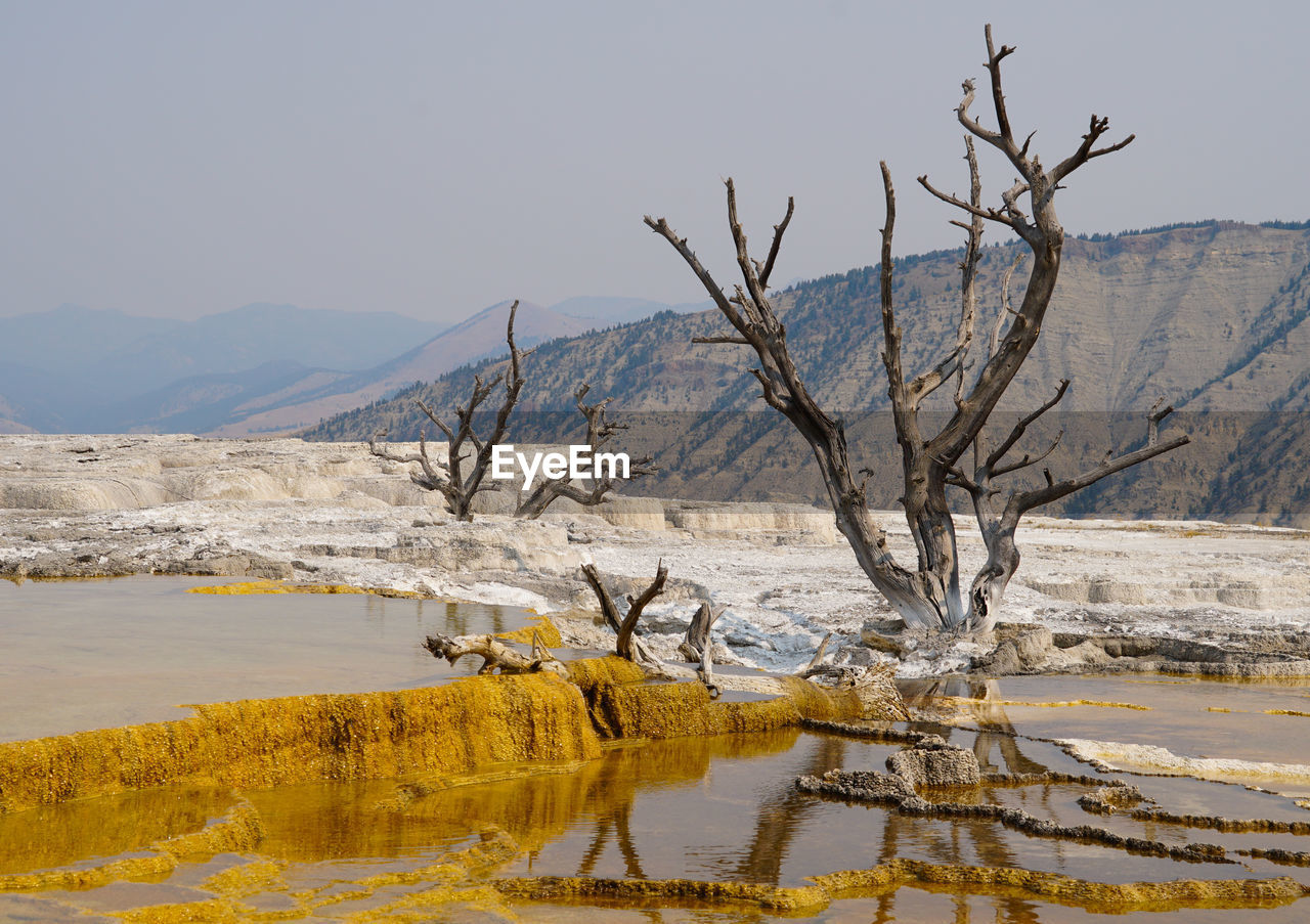 BARE TREE BY LAKE AGAINST MOUNTAIN RANGE