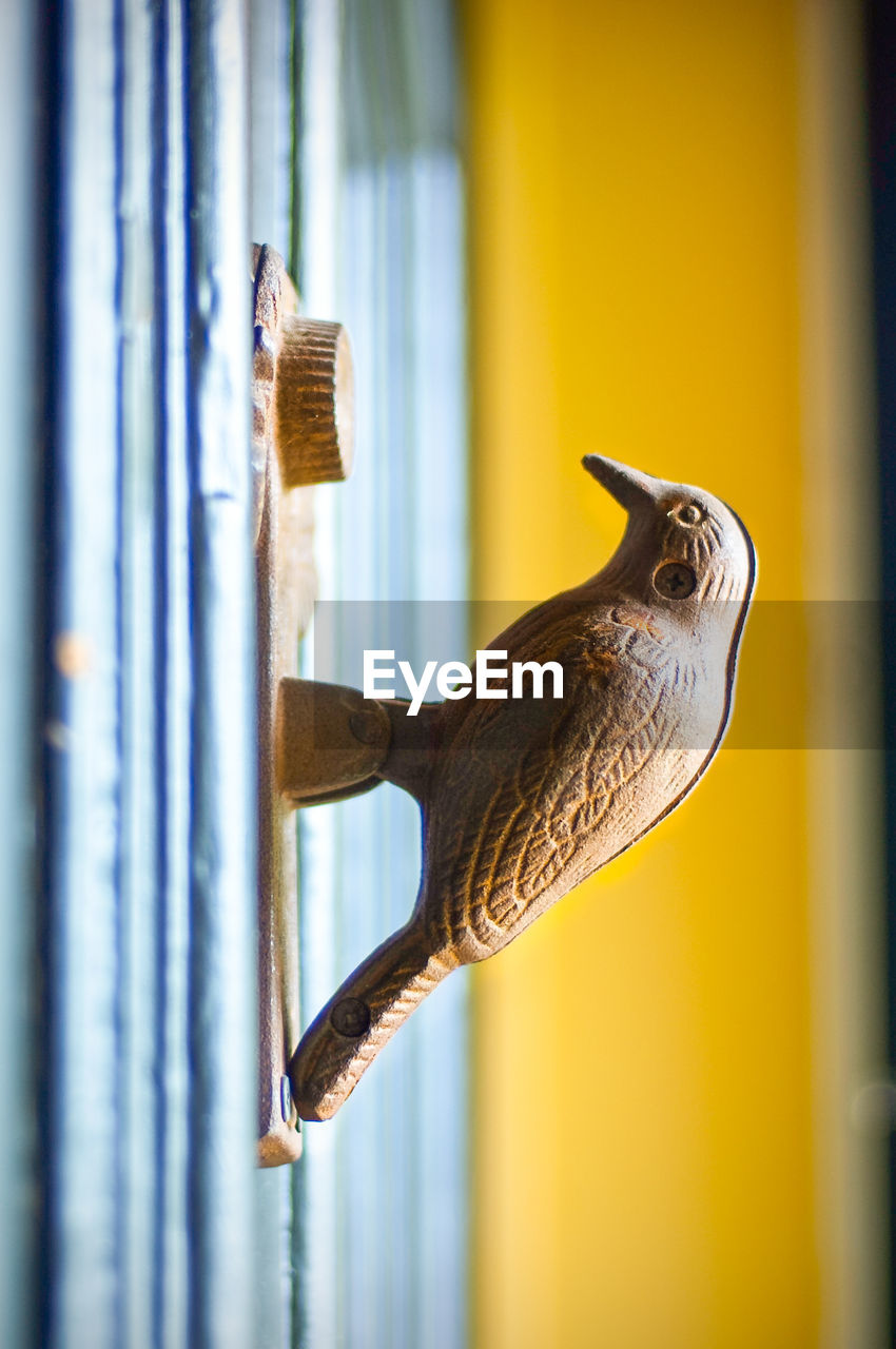 Close-up of bird shape door knocker on door