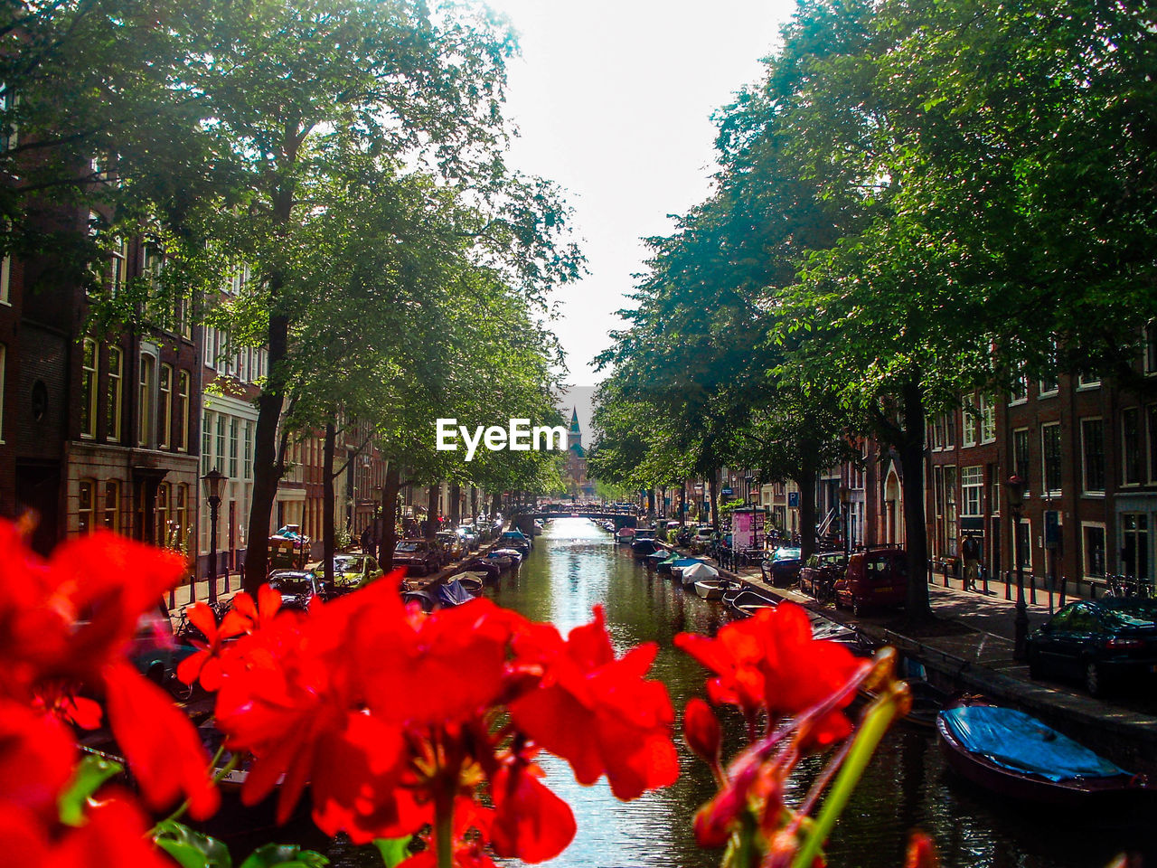 High angle view of canal amidst buildings and trees in city