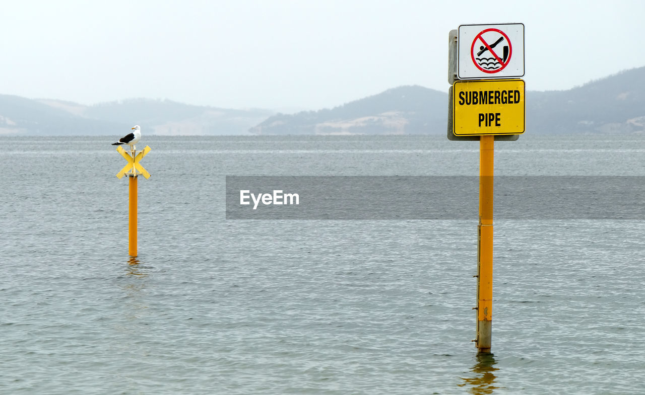 Bird on warning sign in ocean