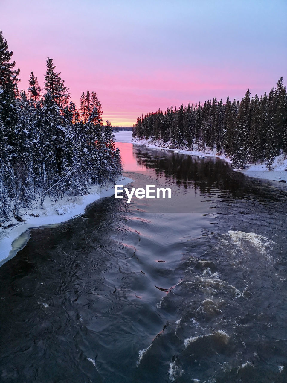 Scenic view of river in forest during sunset