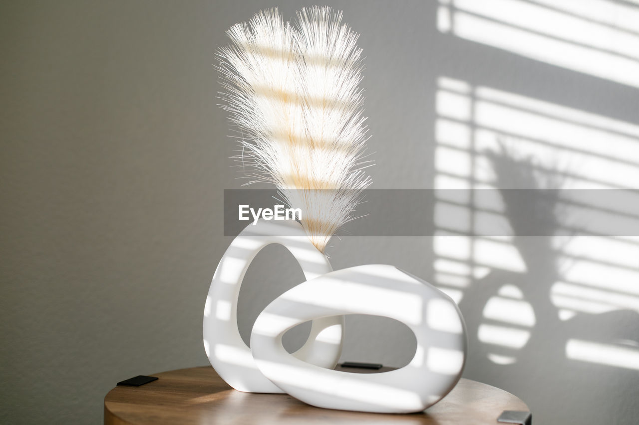 indoors, no people, furniture, table, nature, lighting, sunlight, white, still life