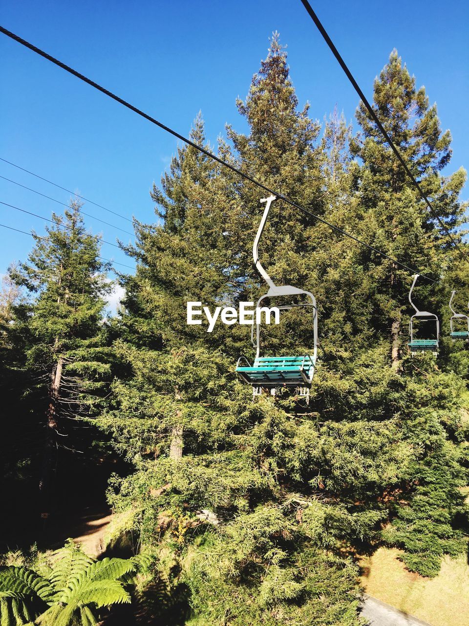 Empty ski lift against trees