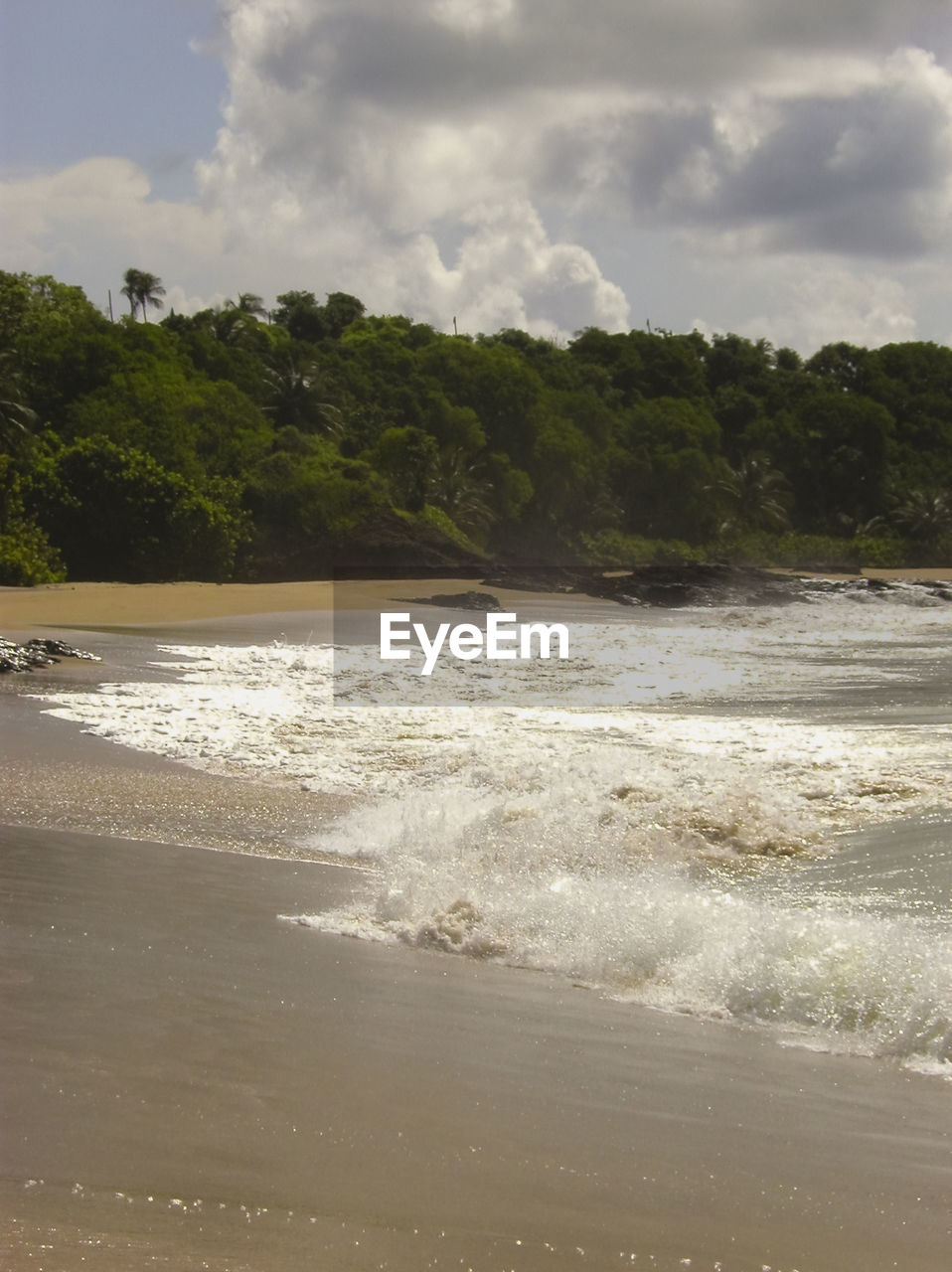 SCENIC VIEW OF BEACH