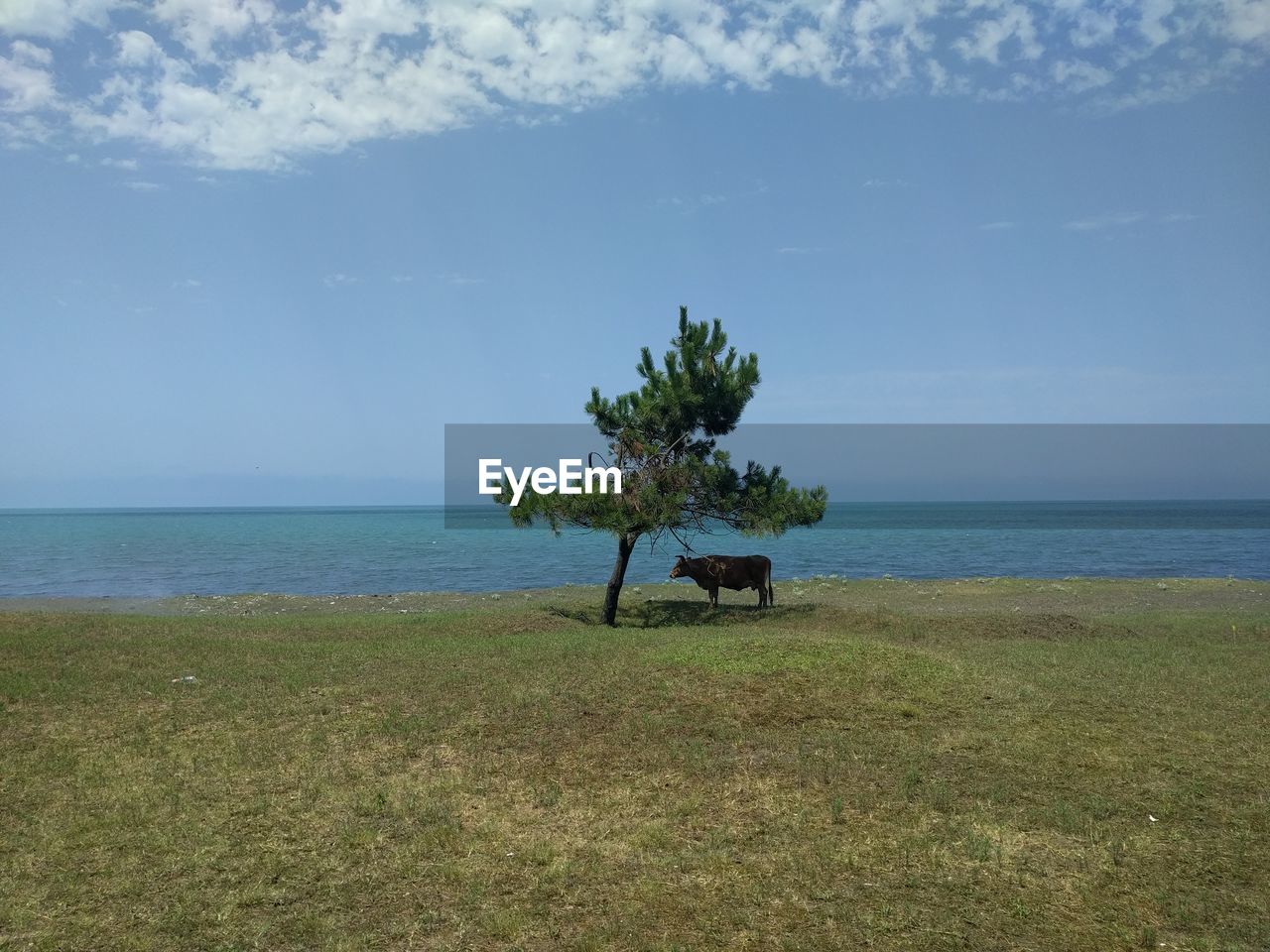 VIEW OF BEACH AGAINST SKY