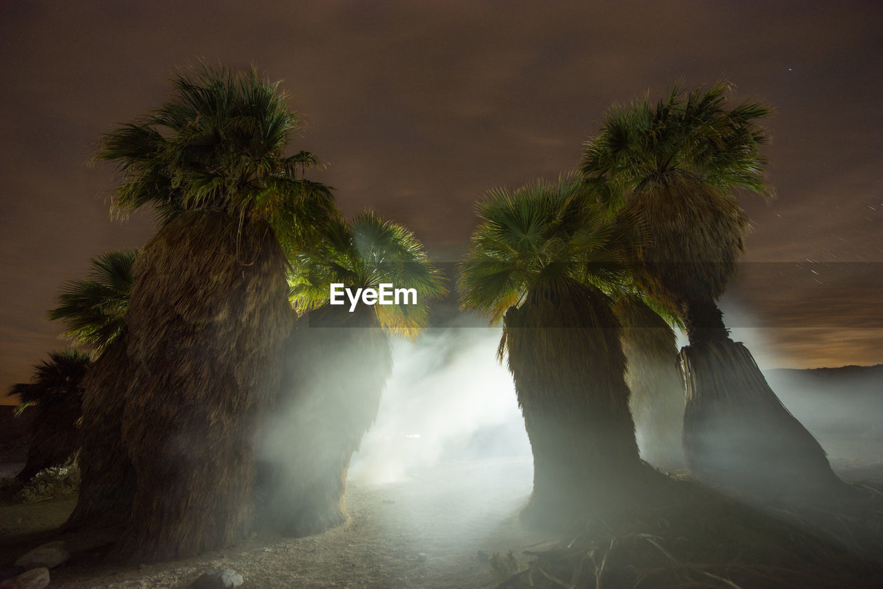 Night time long exposure desert scene in anza borrego national p