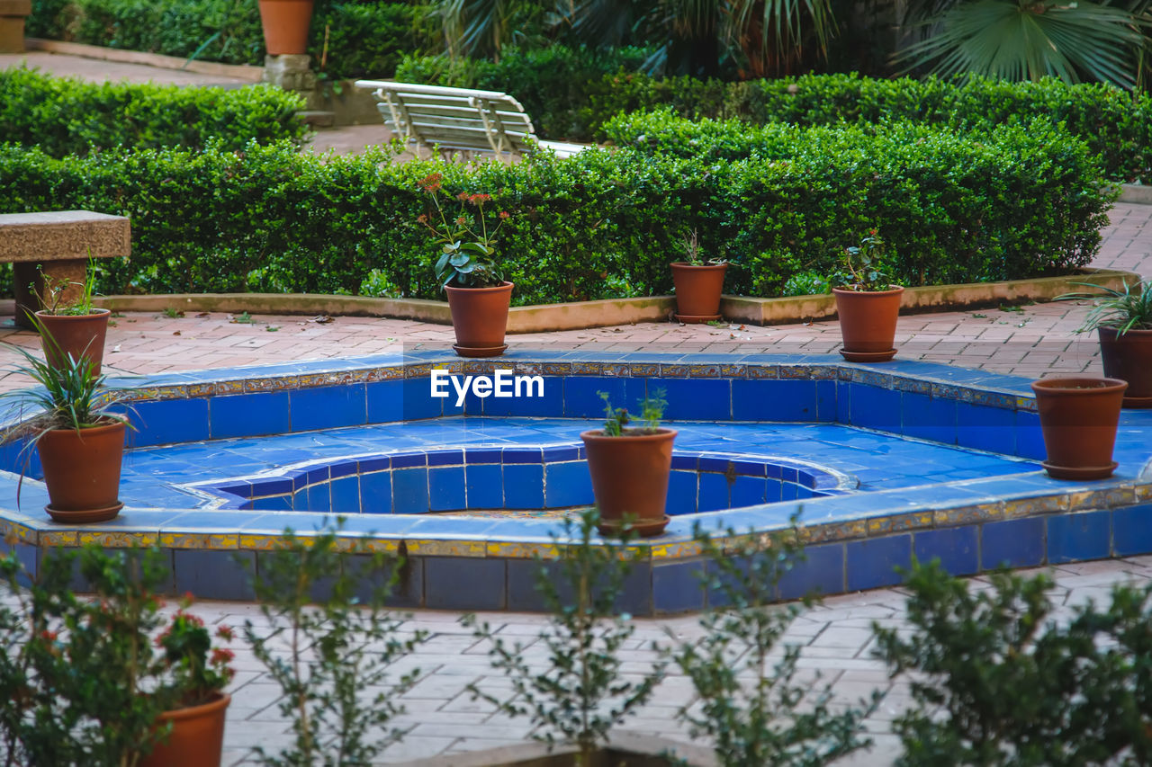 swimming pool, plant, backyard, nature, water, growth, day, potted plant, no people, front or back yard, outdoors, chair, poolside, tree, seat, resort, flowerpot, houseplant, architecture, estate, high angle view, tourist resort, fountain