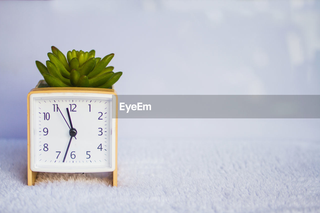 CLOSE-UP OF CLOCK ON LEAF