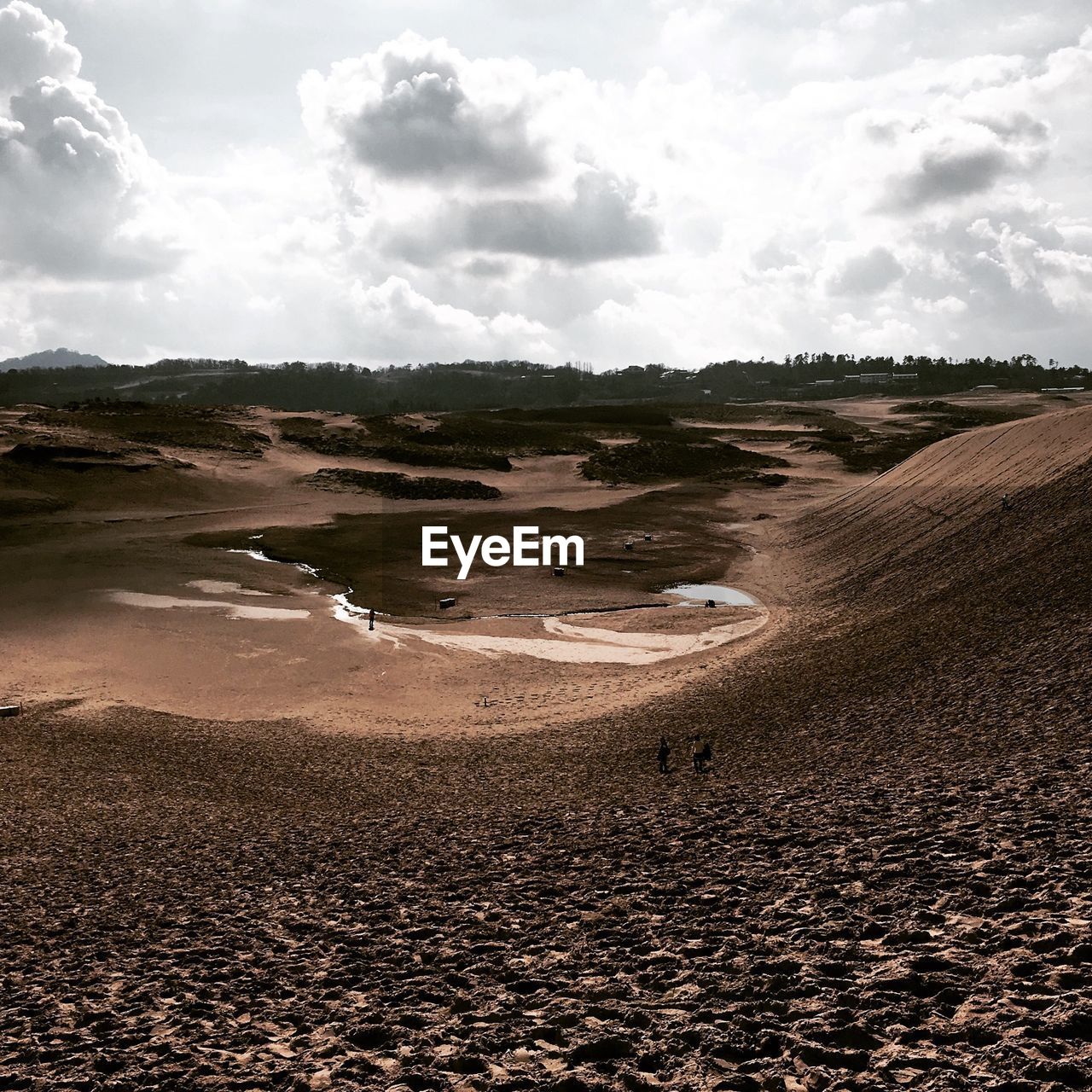 Scenic view of landscape
