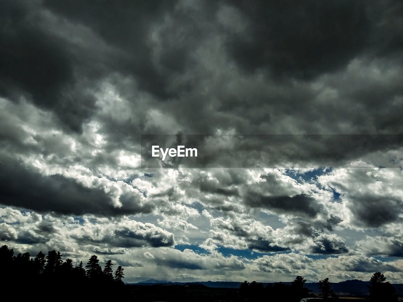 LOW ANGLE VIEW OF STORM CLOUDS OVER SILHOUETTE OF TREES