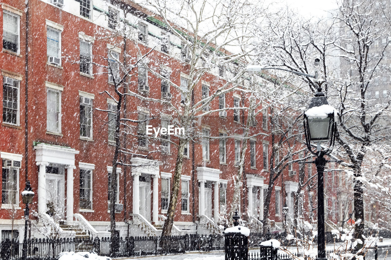 SNOW COVERED BUILDINGS AND TREES