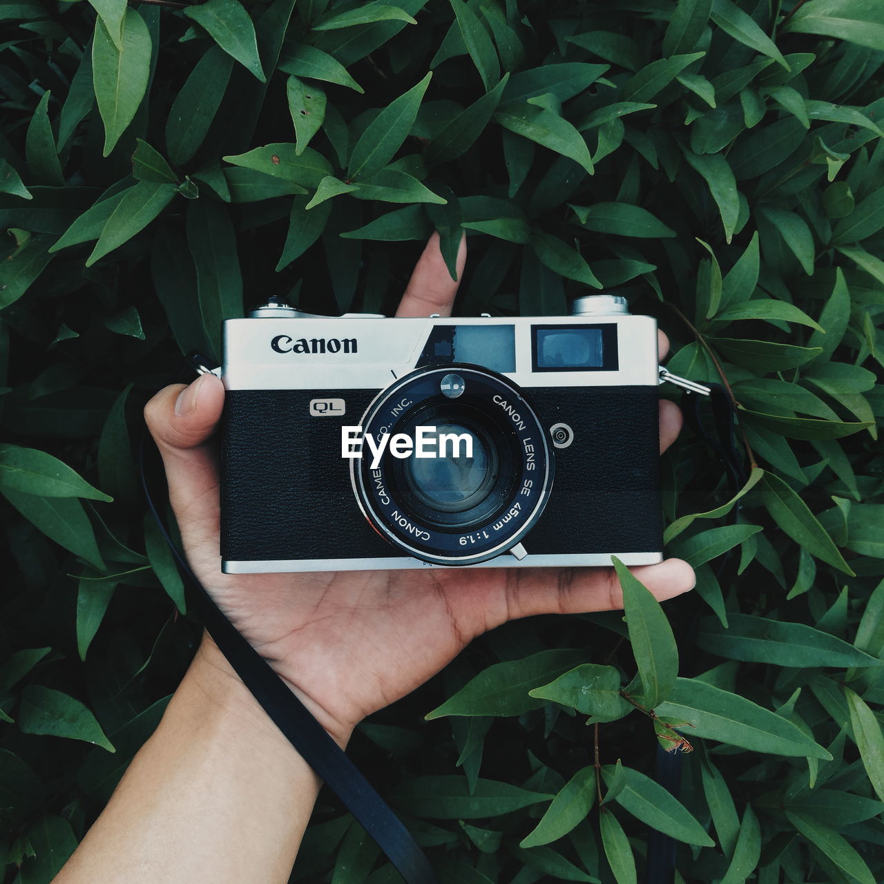 CLOSE-UP OF HAND HOLDING CAMERA WITH PLANTS