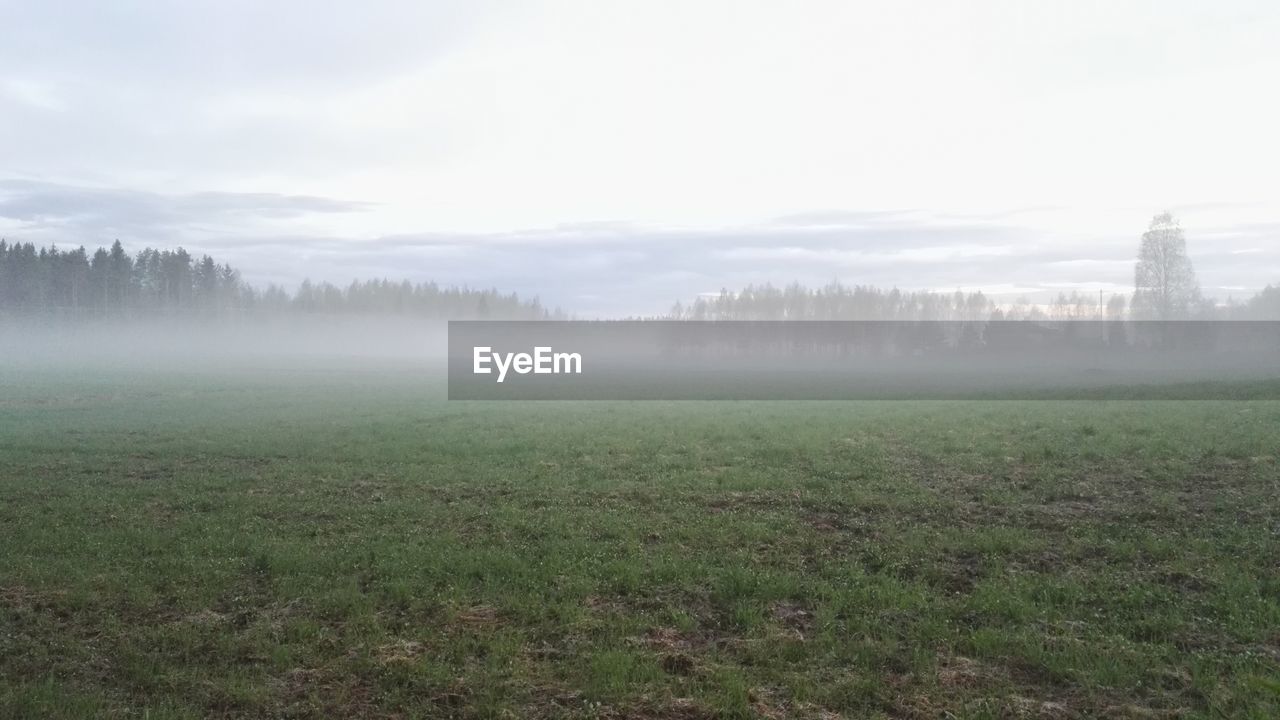 SCENIC VIEW OF FIELD IN FOGGY WEATHER