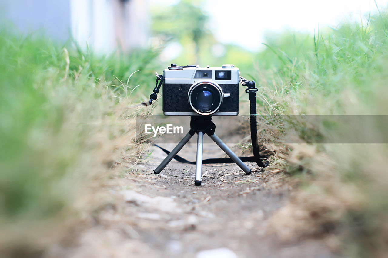 Surface level of camera on footpath amidst grass