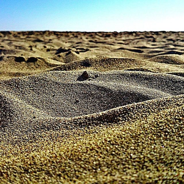 land, natural environment, field, sky, soil, landscape, sand, scenics - nature, nature, desert, environment, tranquility, day, no people, tranquil scene, pattern, beauty in nature, erg, plain, clear sky, arid climate, sunlight, climate, outdoors, horizon, non-urban scene, steppe