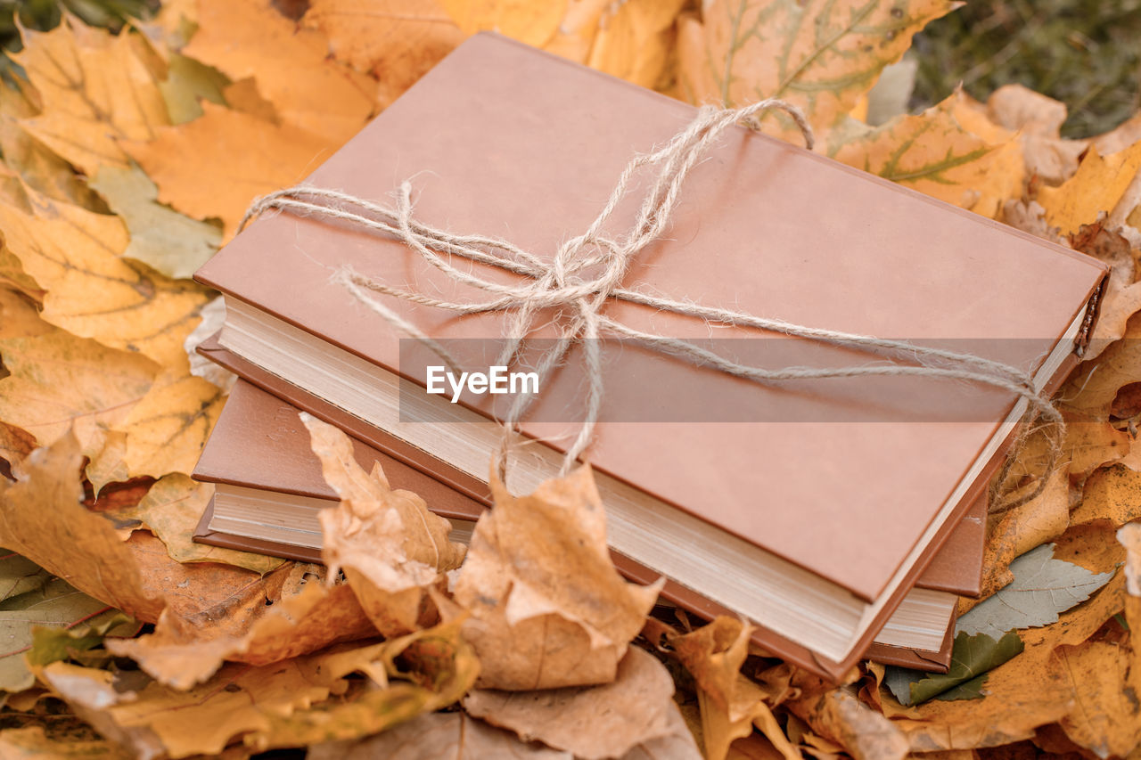 leaf, no people, brown, plant part, nature, paper, autumn, celebration, wood, high angle view, gift, box, container