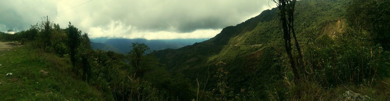 PANORAMIC VIEW OF TREES ON LANDSCAPE AGAINST MOUNTAIN RANGE