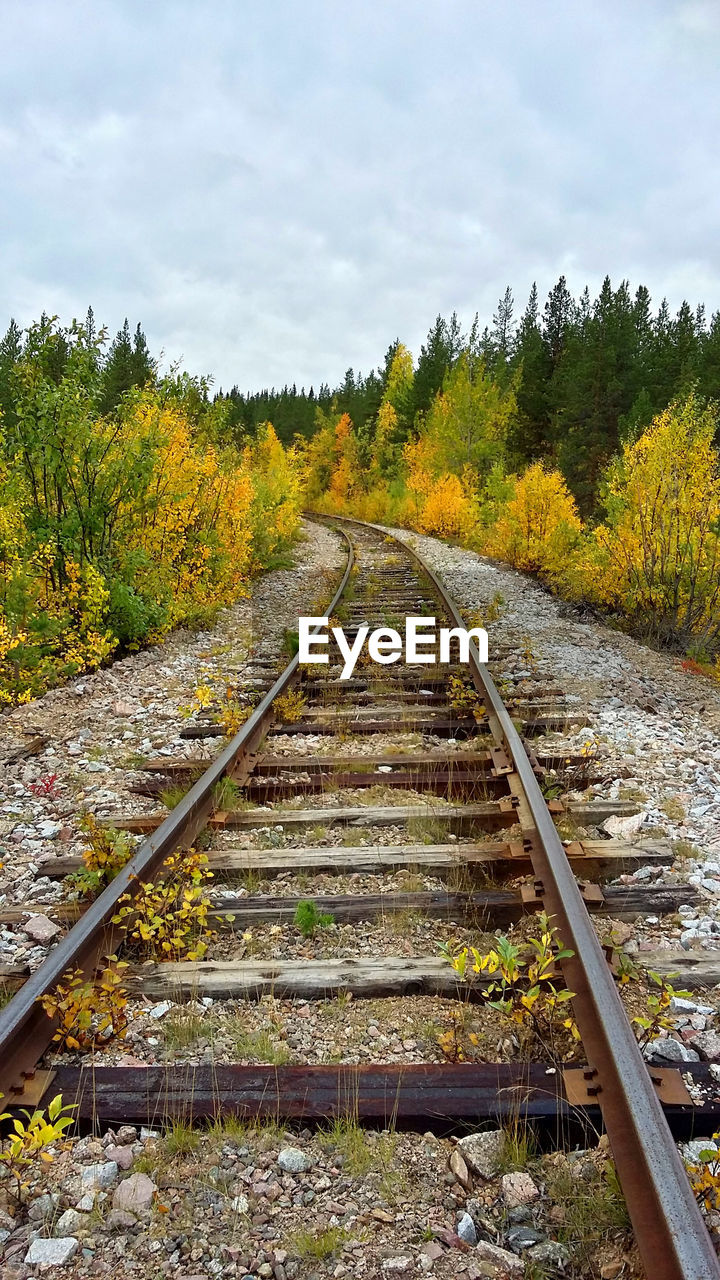 Railroad track passing through landscape