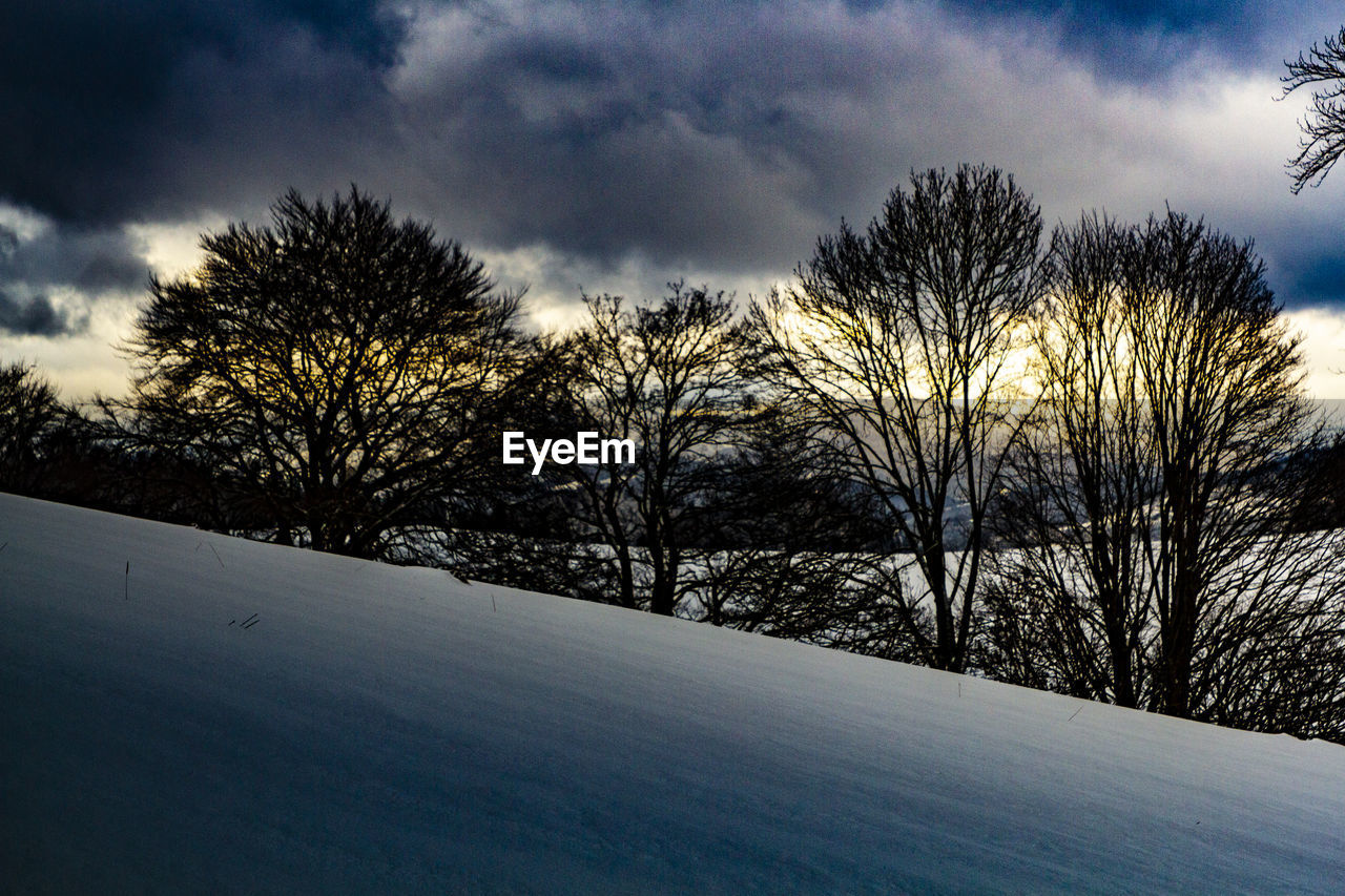 BARE TREES ON SNOWY FIELD AGAINST SKY