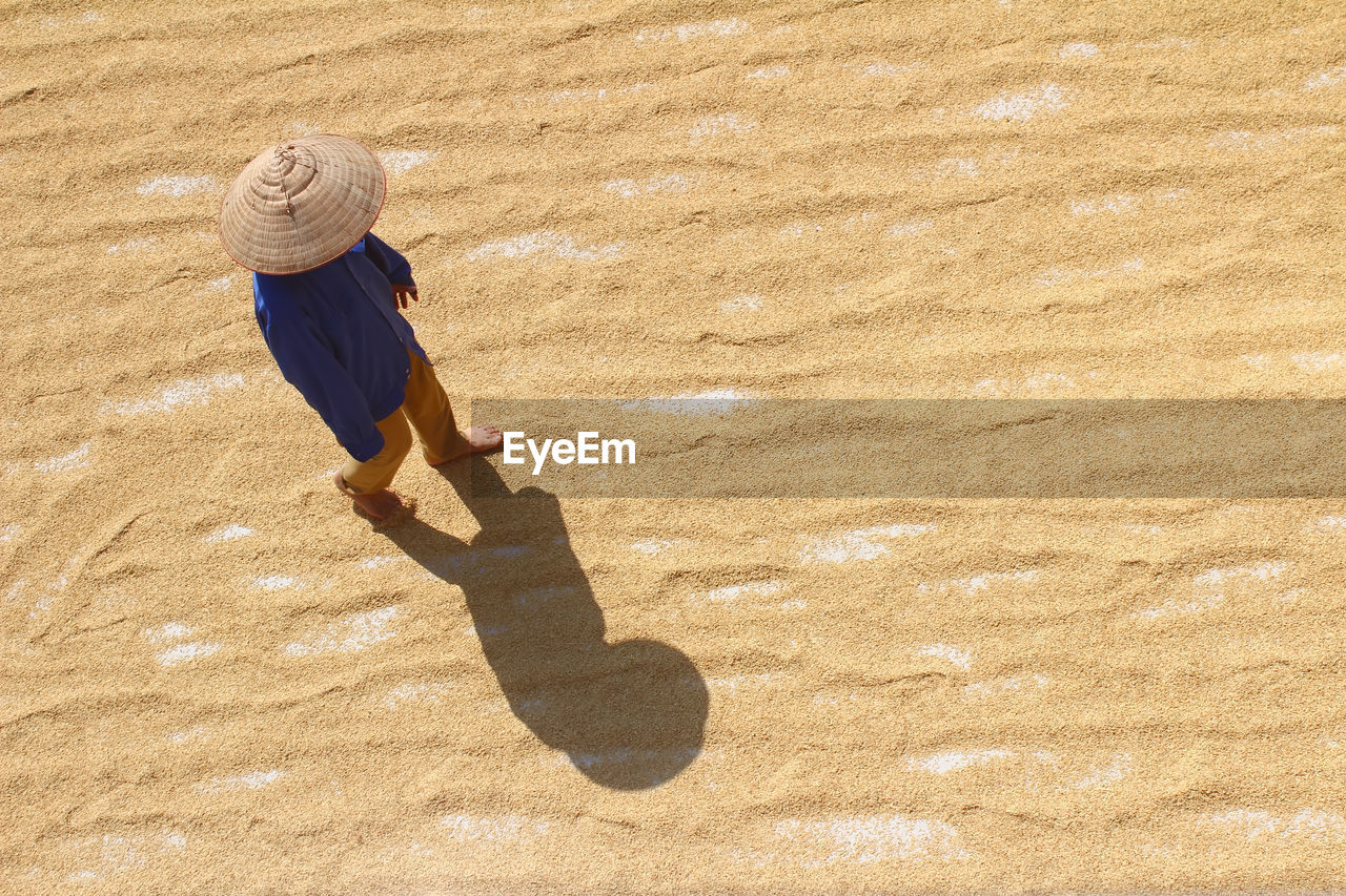 High angle view of farmer working on harvested grains