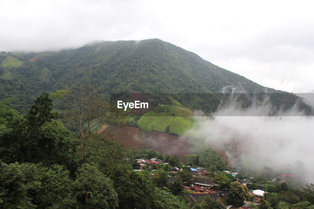 HIGH ANGLE VIEW OF TREES ON LANDSCAPE AGAINST SKY