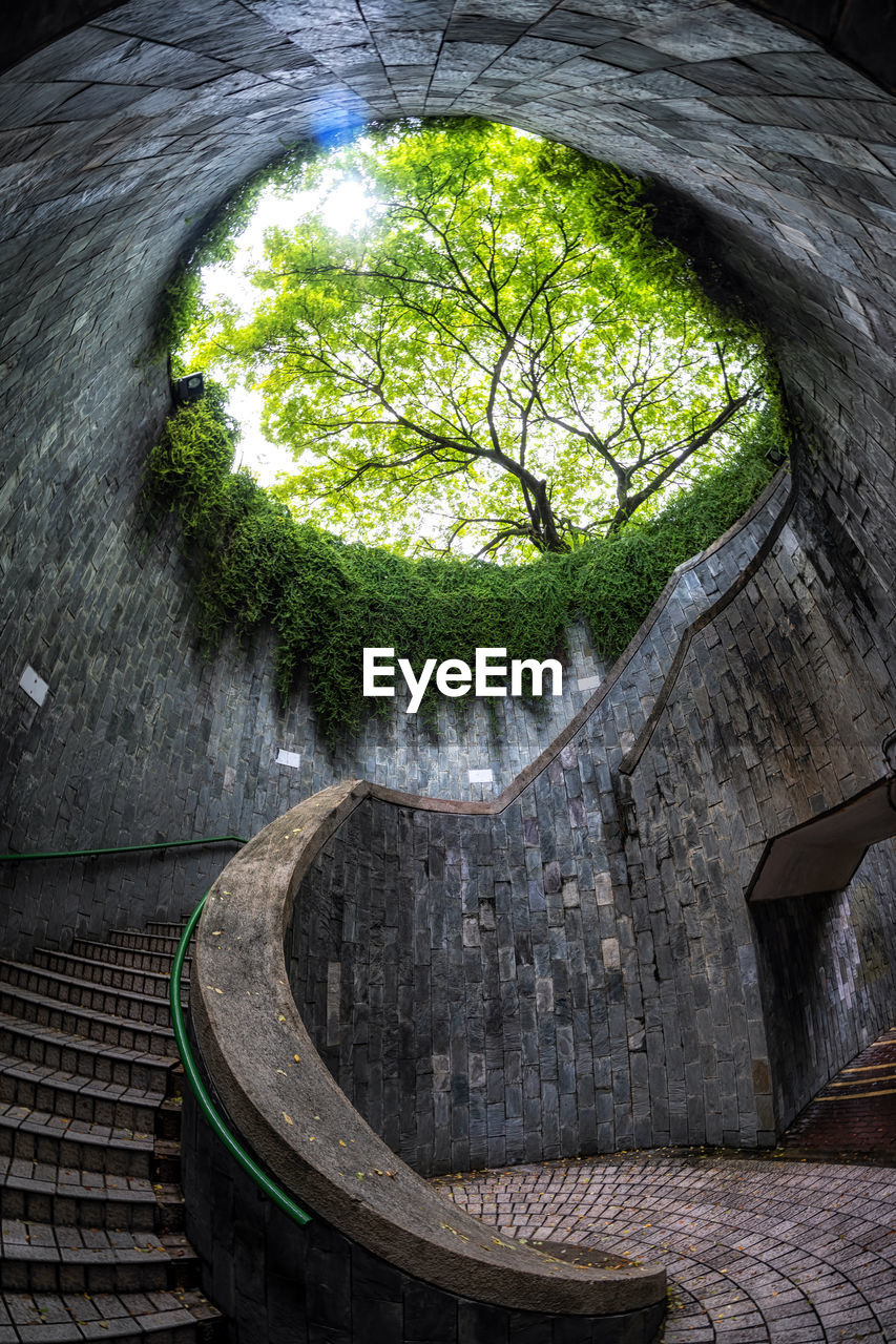 green, architecture, plant, tree, no people, nature, built structure, reflection, leaf, circle, outdoors, day, arch, geometric shape, staircase, tunnel, shape, light, rock