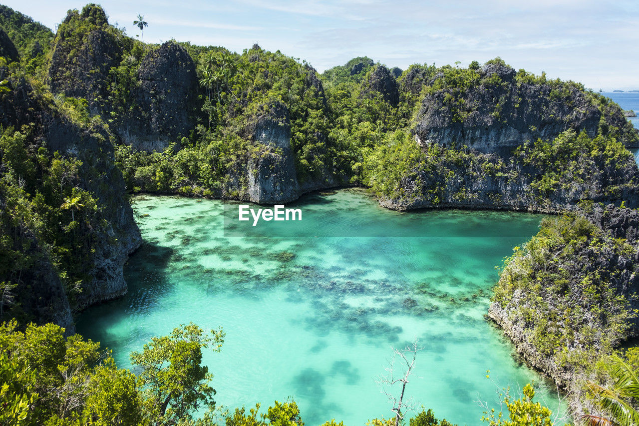 water, scenics - nature, beauty in nature, body of water, tree, environment, land, nature, landscape, plant, travel destinations, travel, sky, sea, mountain, tranquility, forest, tourism, turquoise colored, non-urban scene, no people, rock, blue, tranquil scene, cloud, wilderness, outdoors, lagoon, idyllic, geology, social issues, tropical climate, day, trip, green, vacation, pinaceae, beach, volcano, pine tree, coniferous tree, holiday, island, sunlight, summer, national park