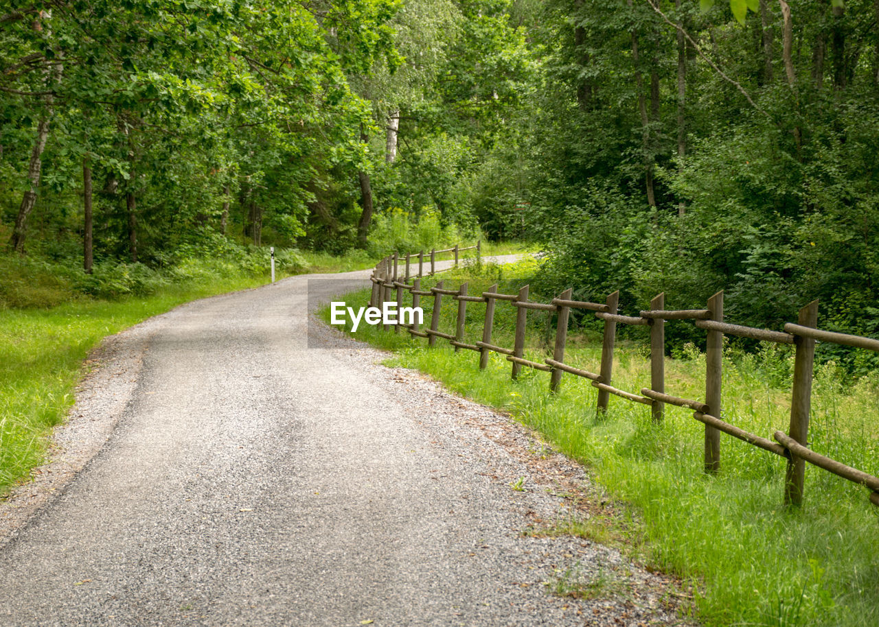 Landscape with a simple country road and a wooden fence along the edge, summer day