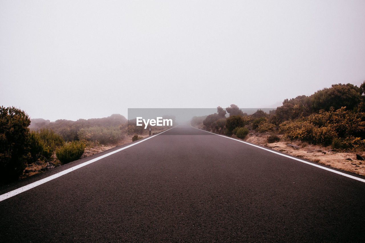 Empty road along trees and against clear sky