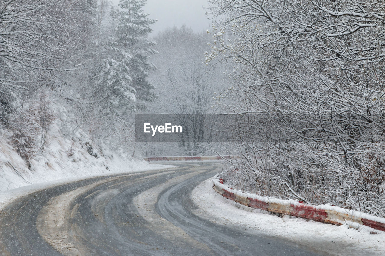 SNOW COVERED ROAD BY TREES